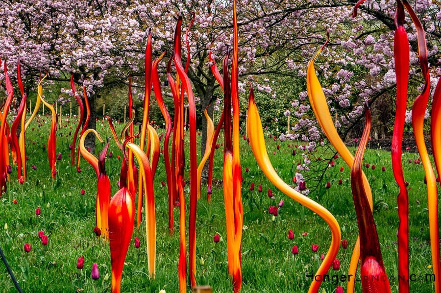Chihuly Blown Glass Exhibit